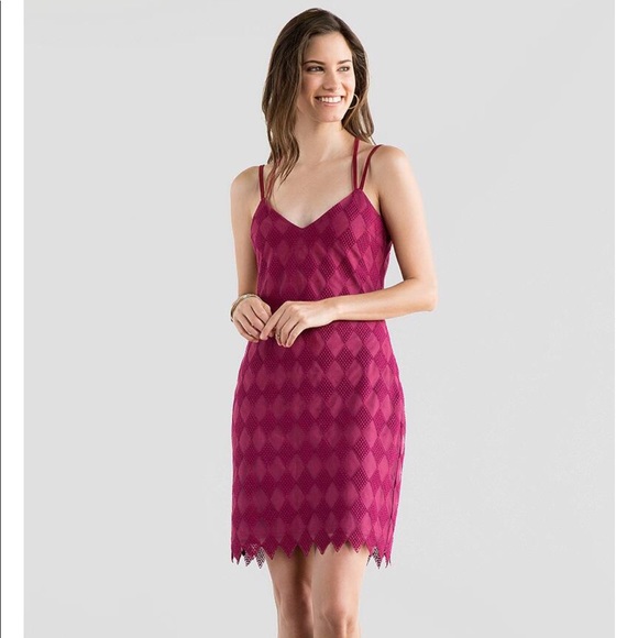 Francesca’s Elmina wine dress - Picture 3 of 6